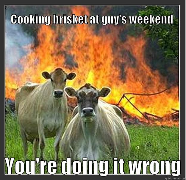                                                                       COOKING BRISKET AT GUY'S WEEKEND   YOU'RE DOING IT WRONG Evil cows