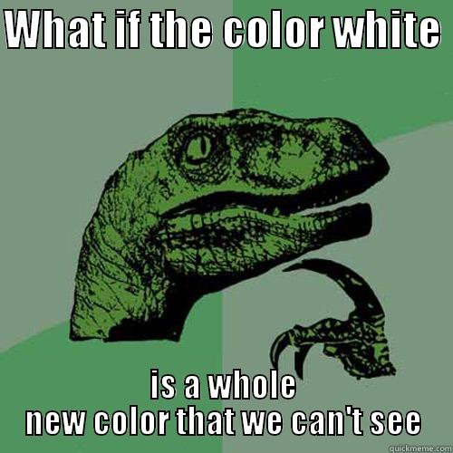 WHAT IF THE COLOR WHITE  IS A WHOLE NEW COLOR THAT WE CAN'T SEE Philosoraptor