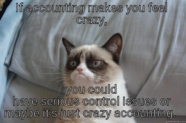 Crazy Accounting  - IF ACCOUNTING MAKES YOU FEEL CRAZY, YOU COULD HAVE SERIOUS CONTROL ISSUES OR MAYBE IT'S JUST CRAZY ACCOUNTING.  Grumpy Cat