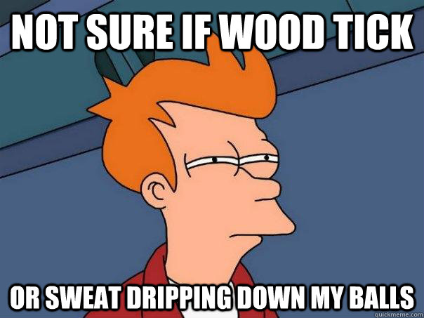 not sure if wood tick or sweat dripping down my balls - not sure if wood tick or sweat dripping down my balls  Futurama Fry