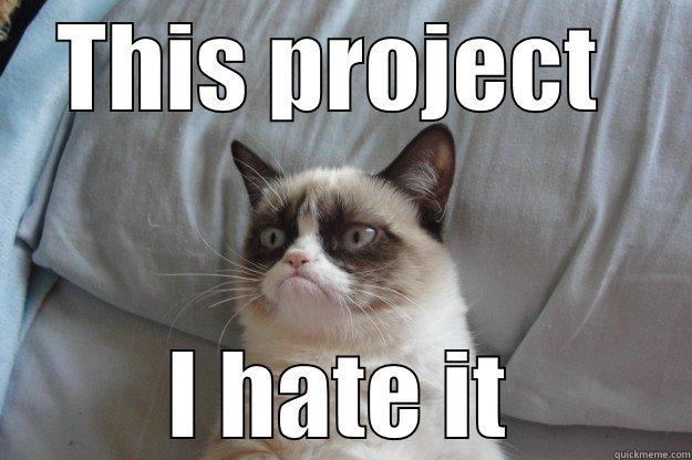 THIS PROJECT  I HATE IT Grumpy Cat