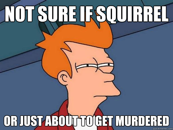 not sure if squirrel or just about to get murdered  Futurama Fry