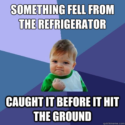 Something fell from the refrigerator  caught it before it hit the ground  Success Kid