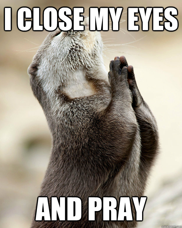 i close my eyes and pray Caption 3 goes here - i close my eyes and pray Caption 3 goes here  Otter praying