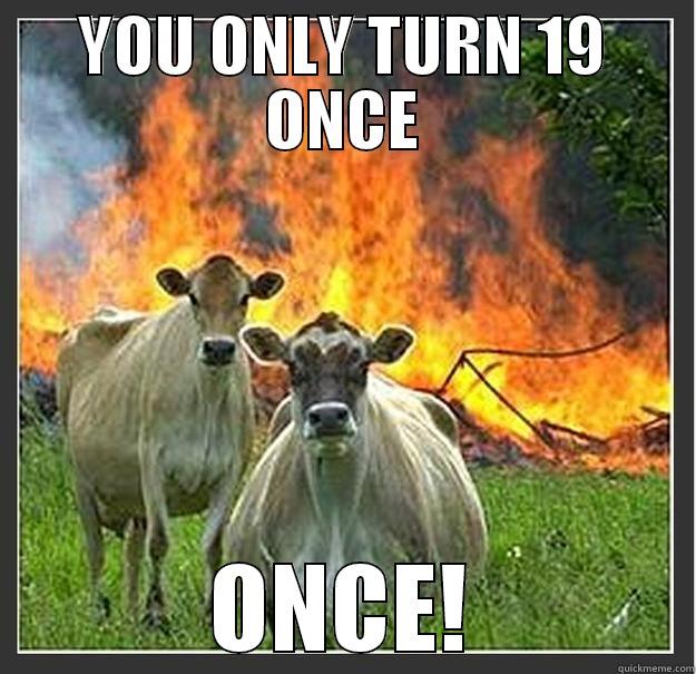 birthday boy - YOU ONLY TURN 19 ONCE ONCE! Evil cows