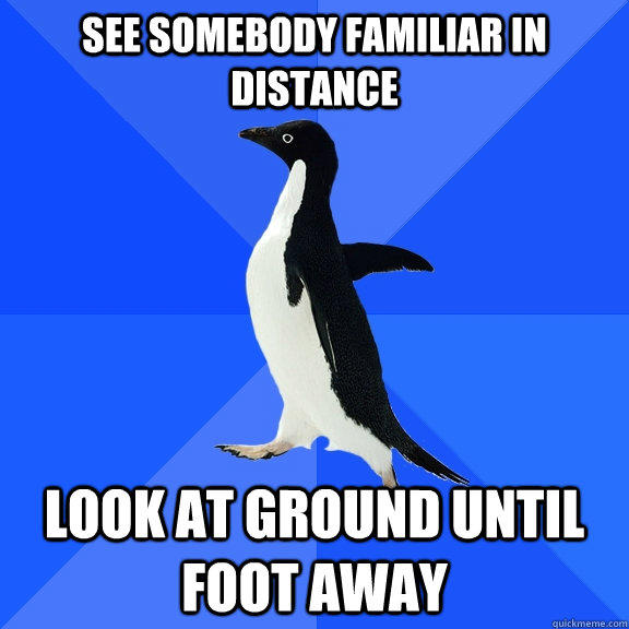 see somebody familiar in distance look at ground until foot away - see somebody familiar in distance look at ground until foot away  Socially Awkward Penguin