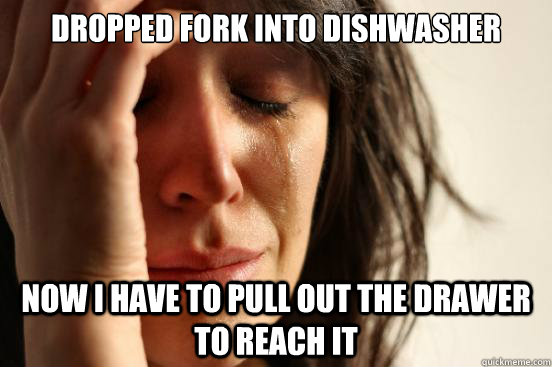 dropped fork into dishwasher Now I have to pull out the drawer to reach it  First World Problems