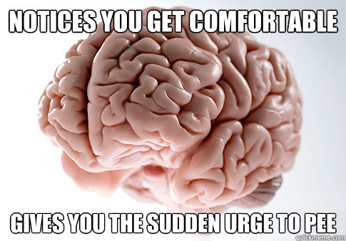 Notices you get comfortable Gives you the sudden urge to pee  Scumbag Brain