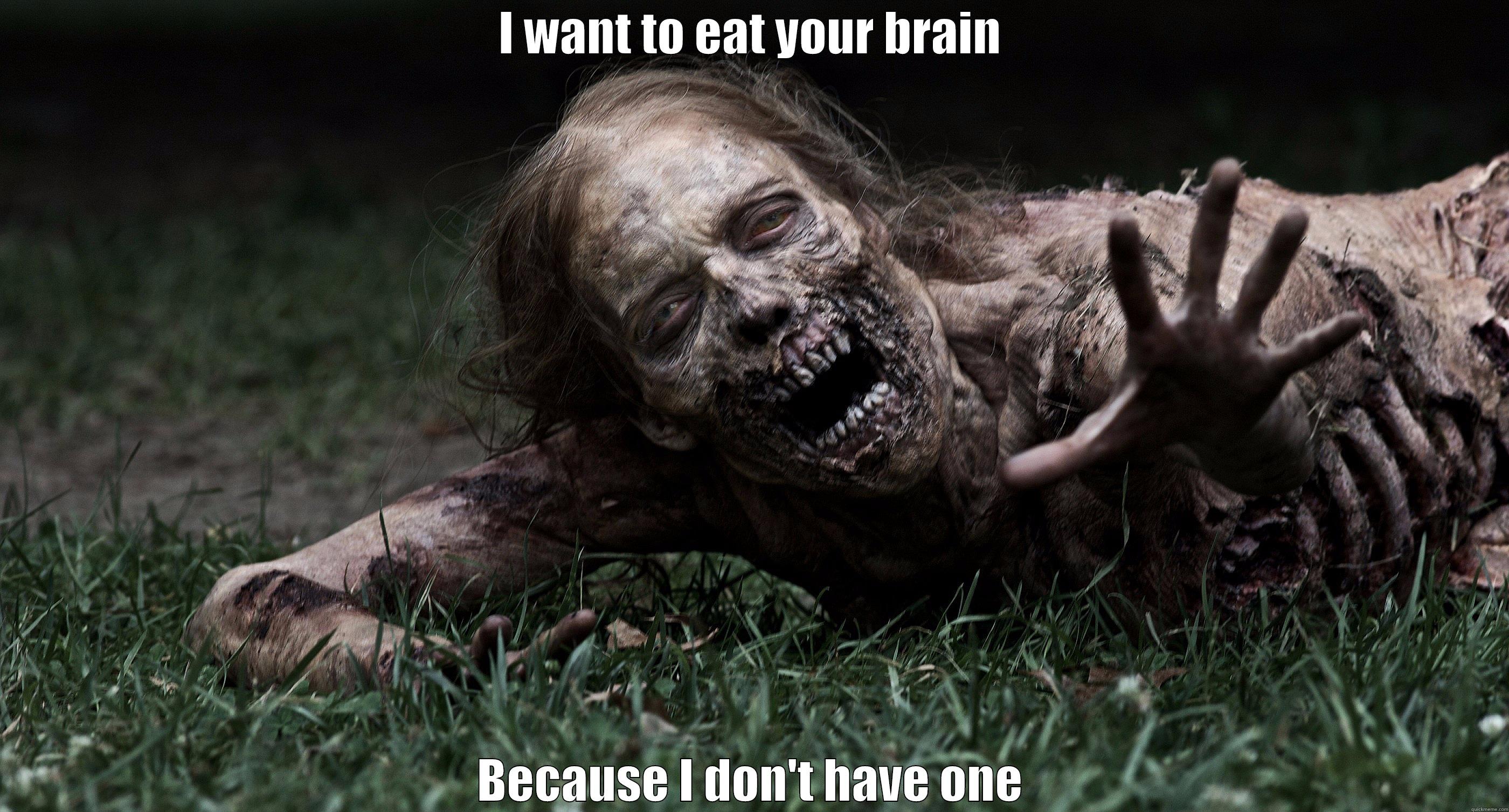 I WANT TO EAT YOUR BRAIN BECAUSE I DON'T HAVE ONE Misc