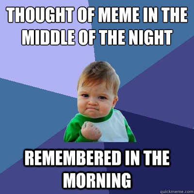 thought of meme in the middle of the night remembered in the morning  Success Kid