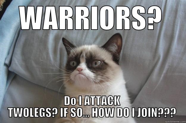 WARRIORS? DO I ATTACK TWOLEGS? IF SO... HOW DO I JOIN??? Grumpy Cat