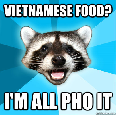 Vietnamese food? I'm all pho it  Lame Pun Coon