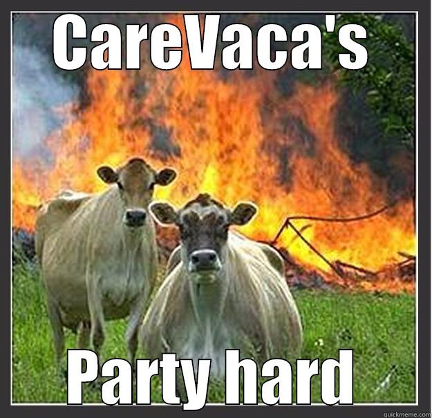 CAREVACA'S PARTY HARD Evil cows