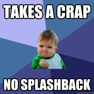 takes a crap no splashback  Success Kid