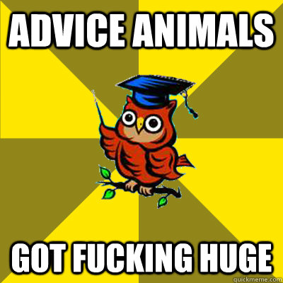 Advice Animals Got Fucking Huge  Observational Owl