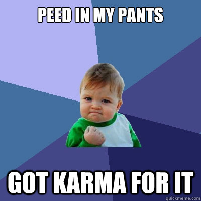 Peed in my pants got karma for it  Success Kid