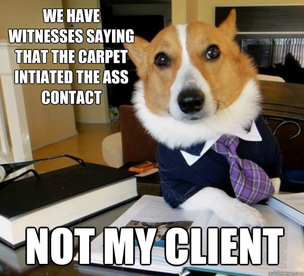 We have witnesses saying that the carpet intiated the ass contact not my client  Lawyer Dog