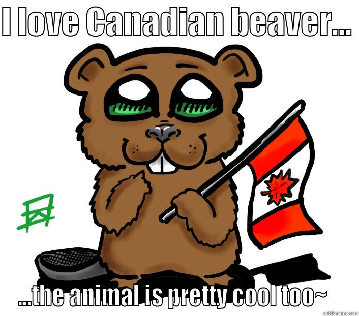 I LOVE CANADIAN BEAVER...  ...THE ANIMAL IS PRETTY COOL TOO~   Misc