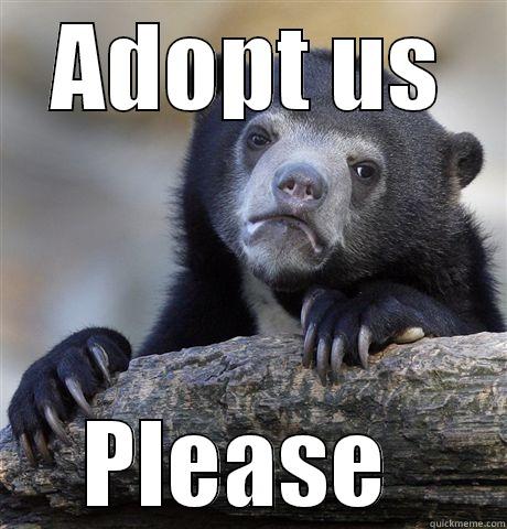 ADOPT US PLEASE  Confession Bear