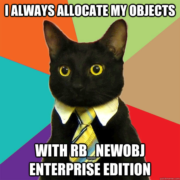 i always allocate my objects with rb_newobj enterprise edition  Business Cat