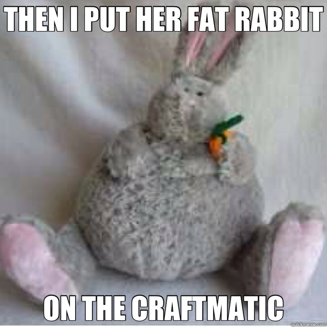 THEN I PUT HER FAT RABBIT ON THE CRAFTMATIC - THEN I PUT HER FAT RABBIT ON THE CRAFTMATIC  skinner1