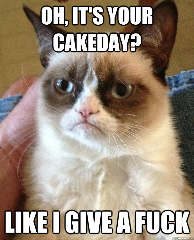 Oh, it's your cakeday? like i give a fuck  Grumpy Cat