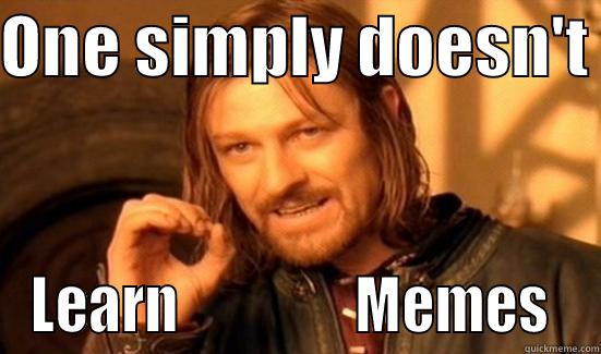 you cant learn memes - ONE SIMPLY DOESN'T  LEARN                MEMES  Boromir