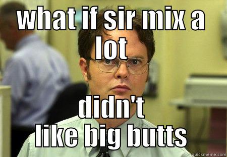 WHAT IF SIR MIX A LOT DIDN'T LIKE BIG BUTTS Dwight