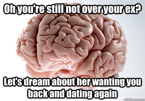 Oh you're still not over your ex? Let's dream about her wanting you back and dating again  Scumbag Brain