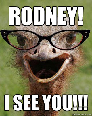 Rodney! I SEE YOU!!!  Judgmental Bookseller Ostrich