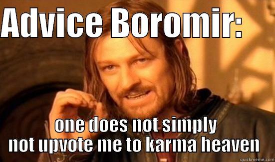 ADVICE BOROMIR:      ONE DOES NOT SIMPLY NOT UPVOTE ME TO KARMA HEAVEN  Boromir