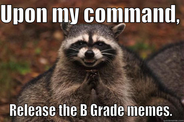 UPON MY COMMAND,  RELEASE THE B GRADE MEMES. Evil Plotting Raccoon