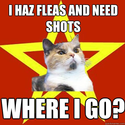 I haz fleas and need shots Where I go? - I haz fleas and need shots Where I go?  Lenin Cat