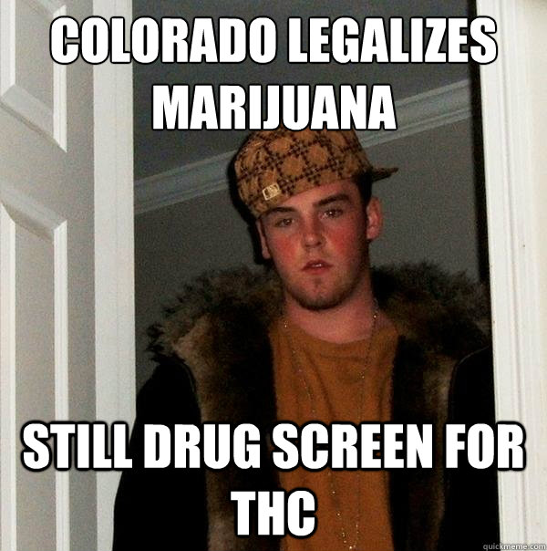 Colorado legalizes marijuana Still drug screen for thc  Scumbag Steve