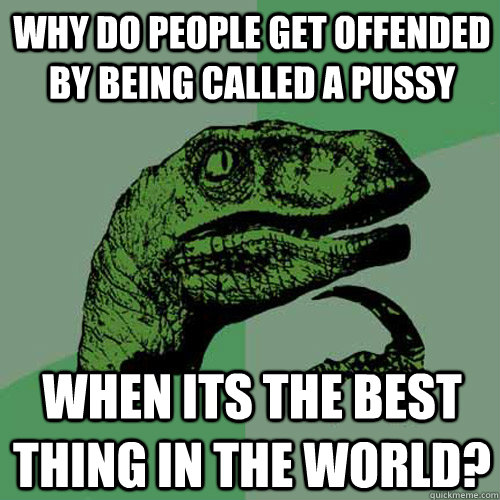 why do people get offended by being called a pussy when its the best thing in the world?  Philosoraptor