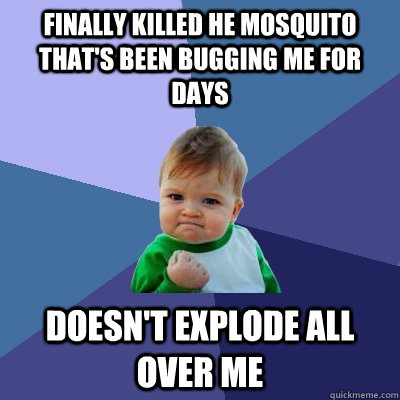 Finally killed he mosquito that's been bugging me for days Doesn't explode all over me  Success Kid