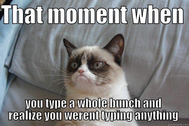 THAT MOMENT WHEN  YOU TYPE A WHOLE BUNCH AND REALIZE YOU WERENT TYPING ANYTHING Grumpy Cat