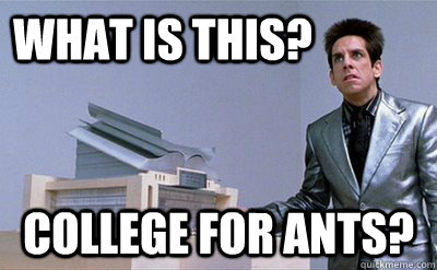 What is this? college for ants? - What is this? college for ants?  Zoolander