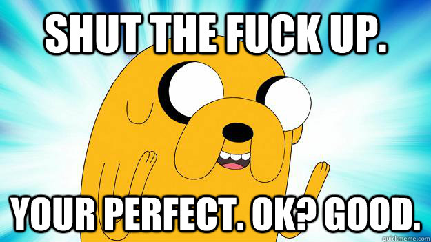 Shut the fuck up. Your perfect. ok? GOOD.  Jake The Dog