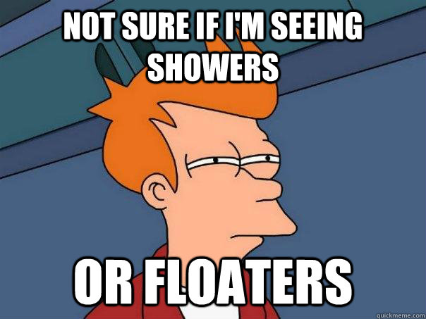 Not sure if I'm seeing showers or floaters  Futurama Fry