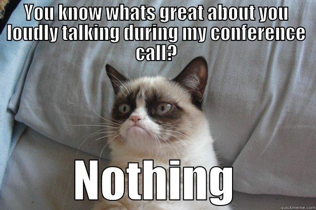 conference call - YOU KNOW WHATS GREAT ABOUT YOU LOUDLY TALKING DURING MY CONFERENCE CALL? NOTHING Grumpy Cat