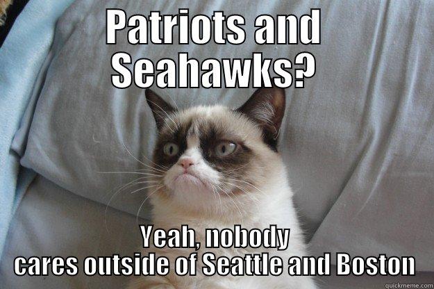 New England and Seattle? - PATRIOTS AND SEAHAWKS? YEAH, NOBODY CARES OUTSIDE OF SEATTLE AND BOSTON Grumpy Cat