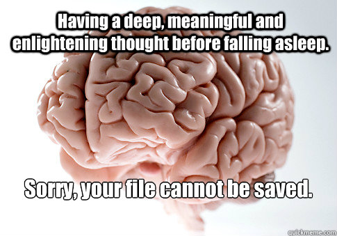 Having a deep, meaningful and enlightening thought before falling asleep. Sorry, your file cannot be saved.  Scumbag Brain