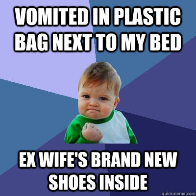 vomited in plastic bag next to my bed  Ex wife's brand new shoes inside  Success Kid