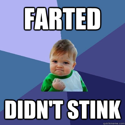 Farted Didn't Stink  Success Kid