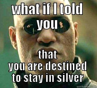 WHAT IF I TOLD YOU THAT YOU ARE DESTINED TO STAY IN SILVER Matrix Morpheus