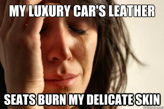 my luxury car's leather  seats burn my delicate skin  First World Problems