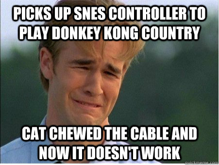 Picks up SNES controller to play Donkey Kong Country Cat chewed the cable and now it doesn't work  1990s Problems