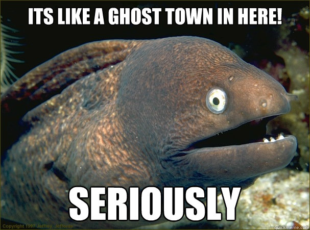 Its like a ghost town in here! seriously  Bad Joke Eel