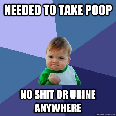 needed to take poop no shit or urine anywhere  Success Kid